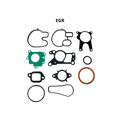 KIT REPARO EGR E COLETOR DE ADMISSÃO